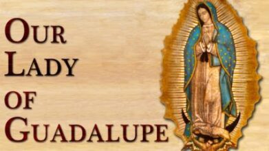 our lady of guadalupe feast day